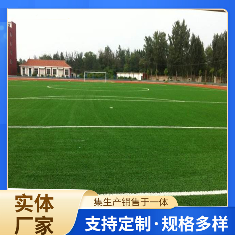威海市硅PU人造草坪 - 哪里好